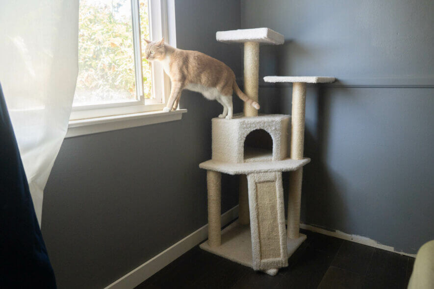 Frisco 52 inch cat tree