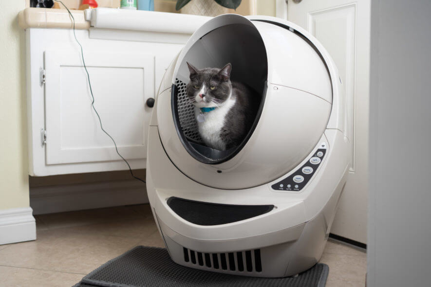 Litter Robot 3 with cat