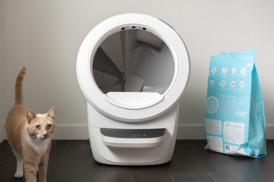 Litter Robot 4 setup with cat and litter