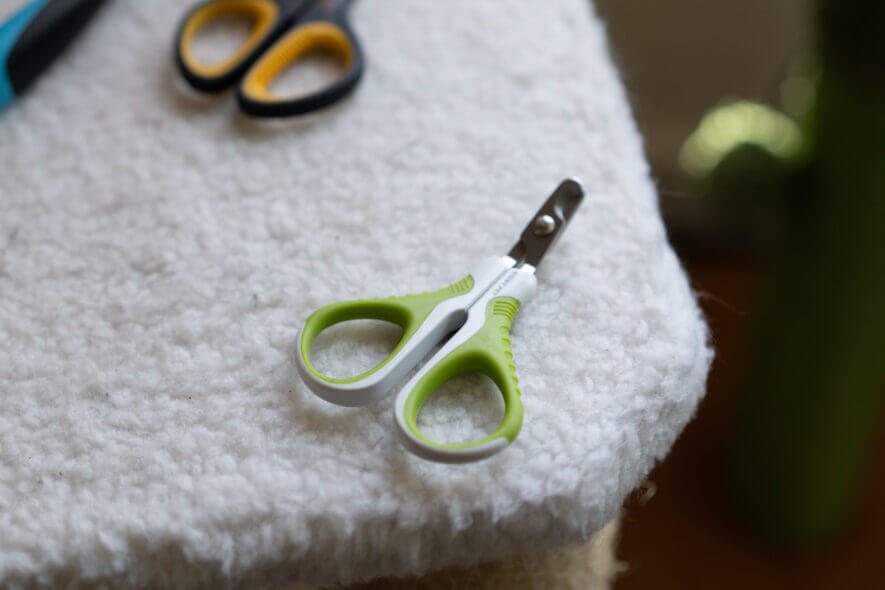 Shiny Pet cat nail clippers