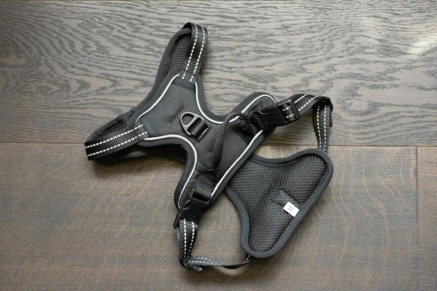 tobeDRI dog harness